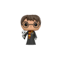 POP figure Harry Potter Harry with Hedwig Exclusive