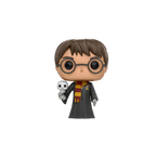 POP figure Harry Potter Harry with Hedwig Exclusive
